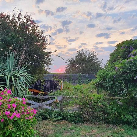 La Planquette Villa Saint-Laurent-de-Medoc Esterno foto